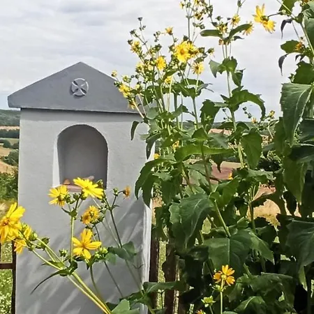 Apartament Vendeghaz