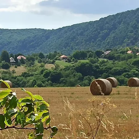 Vendeghaz Apartament *