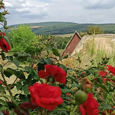 Vendeghaz Apartament *