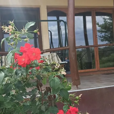 Vendeghaz Apartment