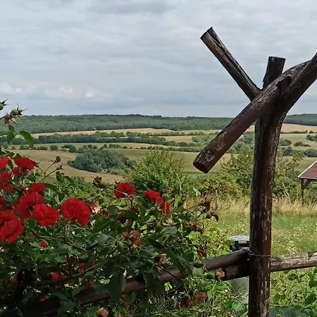 Apartament Vendeghaz