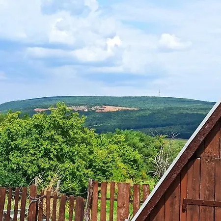 Apartament Vendeghaz