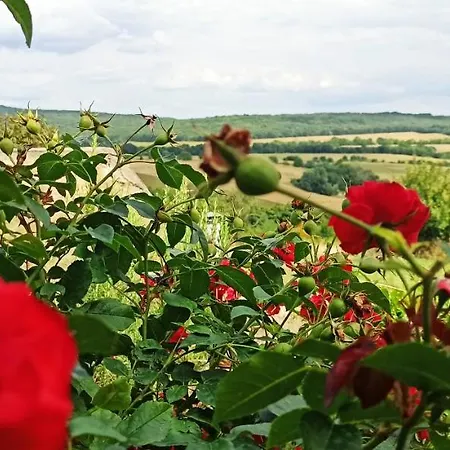 Vendeghaz Apartament *