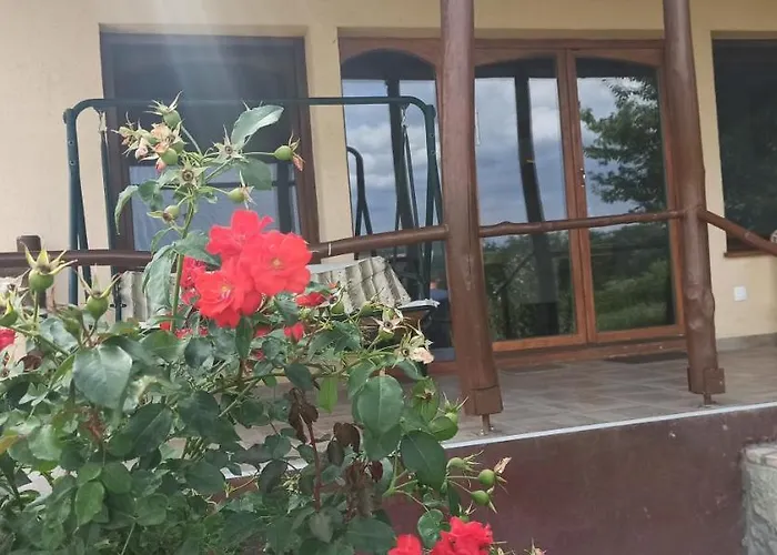 Vendeghaz Apartament